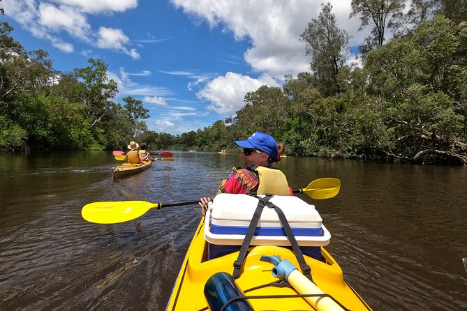 Full-Day Guided Noosa Everglades Kayak Tour - Lakes Cootharaba, Lillies, and Fig Tree: Calm Water Highlights