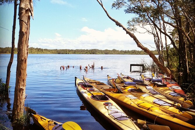 Full-Day Guided Noosa Everglades Kayak Tour - Mangroves and a Swim Stop in Crystalline Water