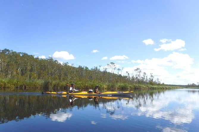 Full-Day Guided Noosa Everglades Kayak Tour - Kayaks, Guidance, and What It’s Like to First Paddle