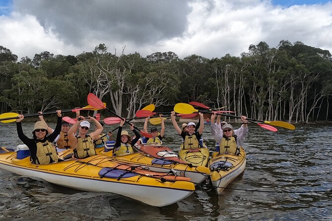 Full-Day Guided Noosa Everglades Kayak Tour - Upper Noosa River and the River of Mirrors
