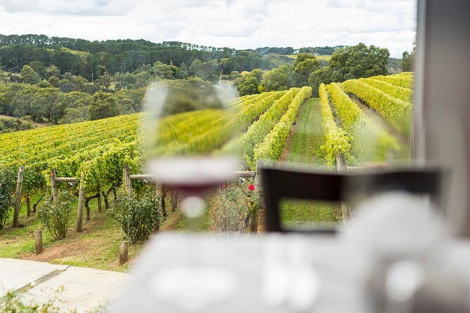 Full-Day Guided Tour on the Beautiful Mornington Peninsula. - The Rhythm of the Day: from Frankston to vineyards (and back)