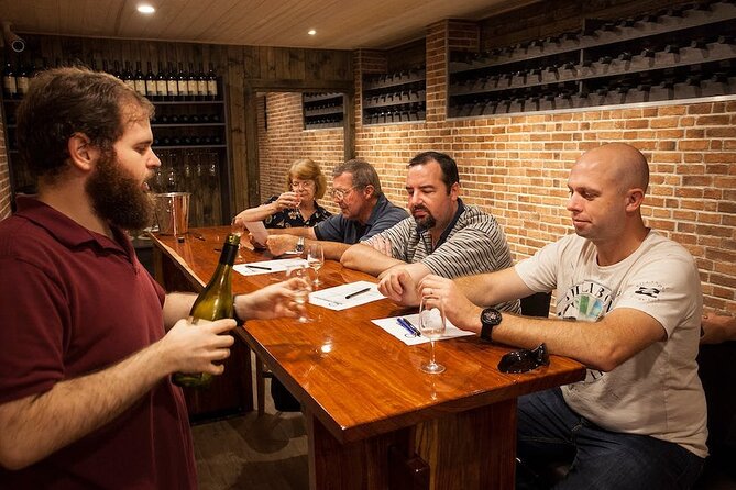 Full-Day Guided Wine Tour in Mt Tamborine From Gold Coast - First stop on the mountain: Mt Tamborine views and rainforest time