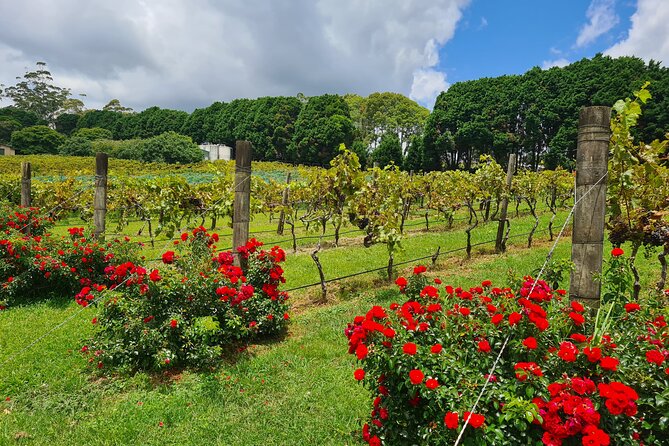 Full-Day Guided Wine Tour in Mt Tamborine From Gold Coast - Getting there from the Gold Coast: pickup that actually helps