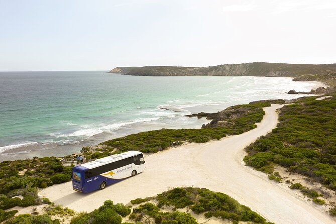 Full Day Kangaroo Island Sip and See Tour departing from Kangaroo Island - Clifford’s Honey Farm: A Working Hive Visit You Can See Up Close