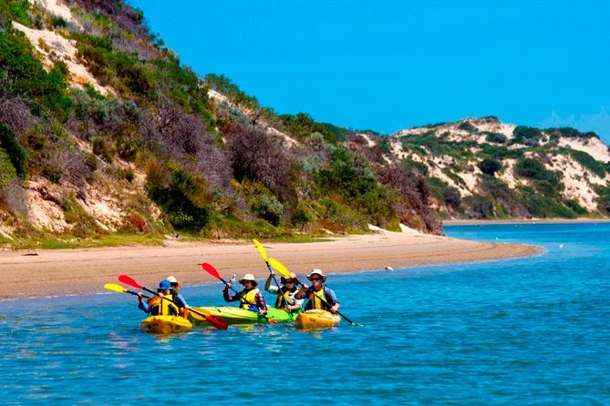 Full Day Kayaking Tour in Coorong National Park - Key highlights you’ll care about