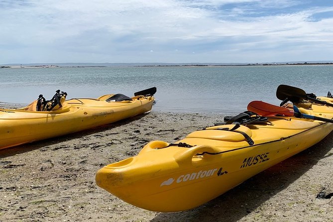 Full Day Kayaking Tour in Coorong National Park - Stop 1: Coorong National Park, where the scenery becomes a system
