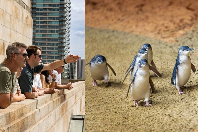 Full-day Melbourne City Sightseeing with Penguin Parade - Key things that make this tour work
