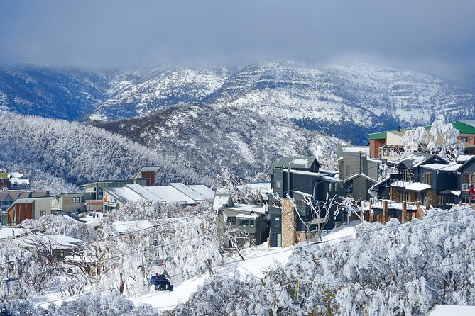 Full-Day Mount Buller Tour - The Yarra Valley and Victorian High Country drive: the part you can’t skip