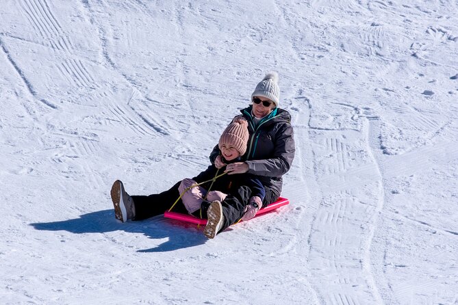Full-Day Mount Buller Tour - Group day logistics: what a 39-person max feels like