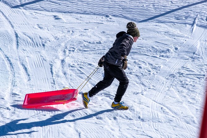 Full-Day Mount Buller Tour - Should you book this Mount Buller full-day tour?