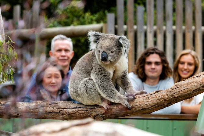 Full-Day Penguins and Wildlife Nature Experience from Melbourne - Cowes on Phillip Island: The Esplanade Pier Stop for Snacks and Sea Air