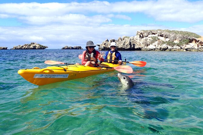 Full-Day Perth, Fremantle, Swan Valley & Wildlife Park - Group size and guide energy: when it works, it works