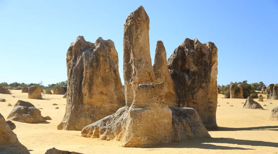 Full Day Pinnacles Desert and New Norcia - New Norcia’s Abbey Church, St Gertrude’s College, and the Moser Organ