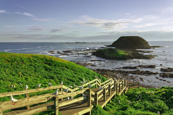 Full-Day Private Australian Wildlife Tour of Phillip Island - The Nobbies Lava Coast: Seals, Wallabies, and Wave-Filled Drama