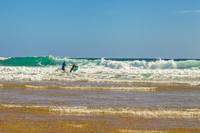 Full-Day Private Australian Wildlife Tour of Phillip Island - Brighton Beach and Port Phillip Bay Views: A Scenic Break That Helps