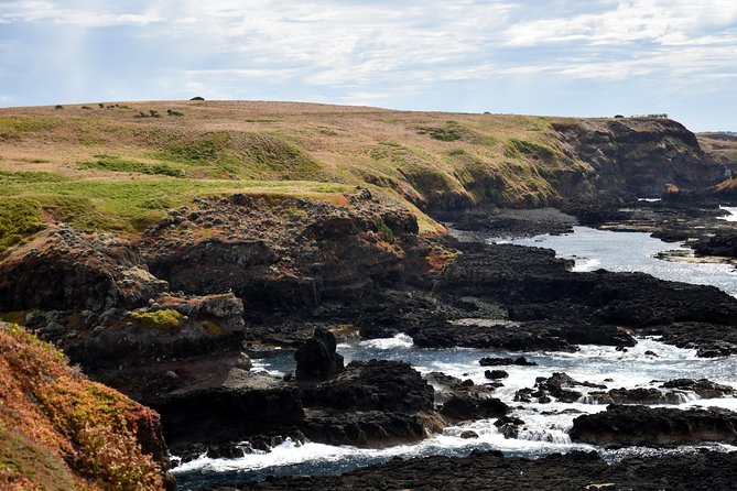 Full-Day Private Australian Wildlife Tour of Phillip Island - What’s included (and what you’ll need to cover yourself)