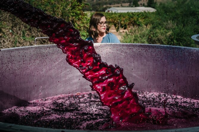 Full Day Private Barossa Valley Wine Tour - Tanunda: one hour to stretch, sip coffee, and shop