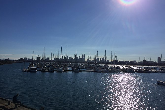 Full Day Private Melbourne Tour with enchanting Koala Encounters. - A Private Melbourne Day With Hotel Pickup and Your Own Vehicle