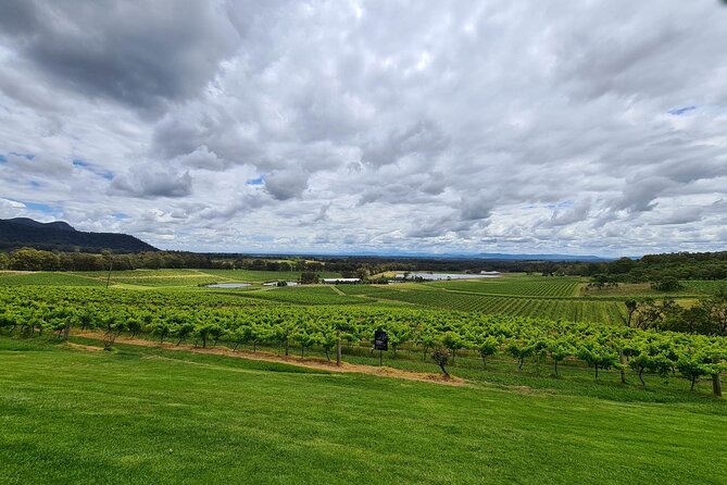 Full Day Private Wine Tour Exclusively Tailored To Suit You - Friendly drivers make it feel easy