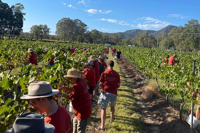 Full Day Private Wine Tour Exclusively Tailored To Suit You - Key things to know before you book
