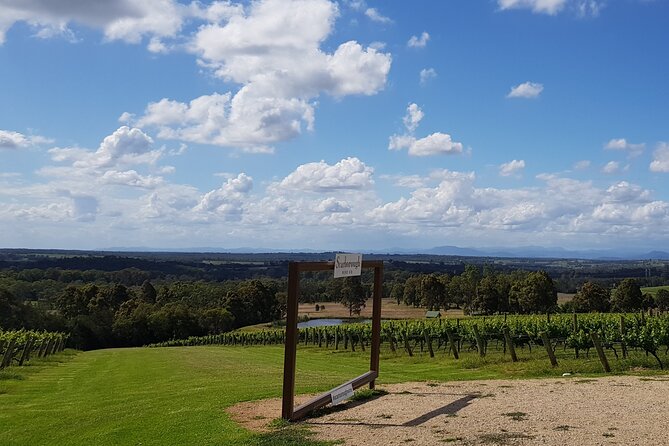 Full Day Private Wine Tour Exclusively Tailored To Suit You - Who this private wine tour suits best