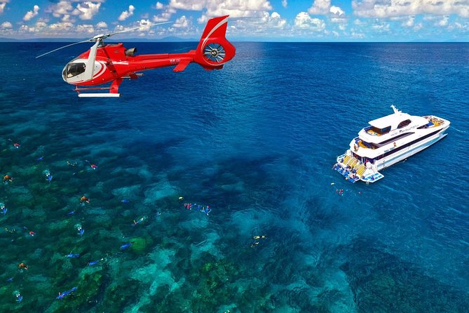 Full Day Reef Cruise and 10 Minute Helicopter Scenic Flight - Key things I’d bet your day on