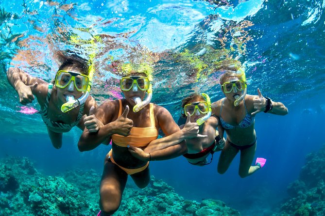 Full Day Reef Cruise and 10 Minute Helicopter Scenic Flight - Hastings Reef and the 10-minute helicopter flight: the best scale lesson