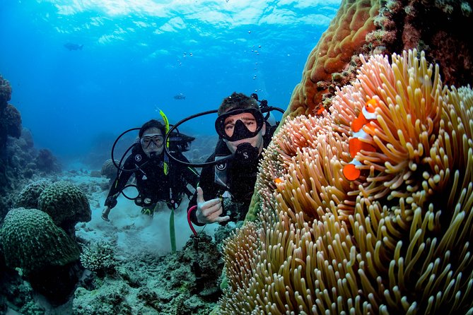 Full Day Reef Cruise and 10 Minute Helicopter Scenic Flight - Return to Cairns with afternoon tea and a reef-night mindset