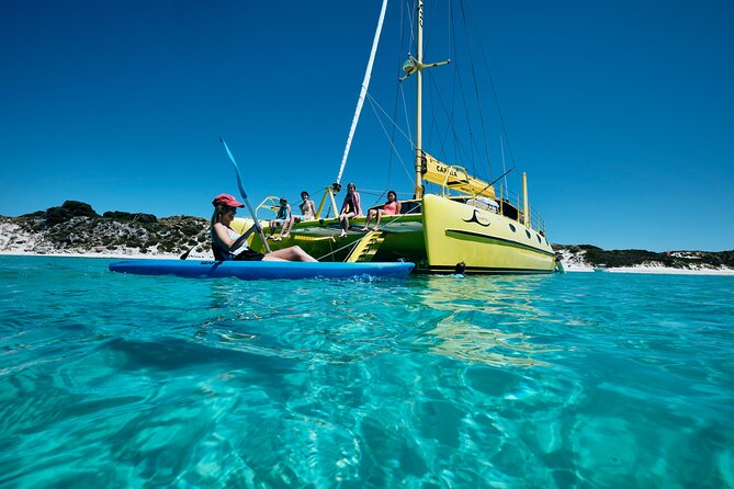 Full Day Sail to Rottnest Island from Fremantle - Food and drinks: morning tea and a buffet lunch that actually fills you up