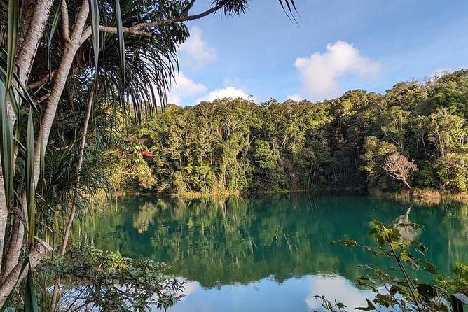 Full-day Tour at the Atherton Tablelands with Food Tasting - Quick take: why this Atherton Tablelands tour works so well