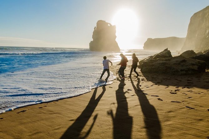 Full Day Tour of Great Ocean Road and 12 Apostles from Melbourne - Kennett River Wildlife Spotting: Koalas, Kookaburras, and Eucalyptus Edges