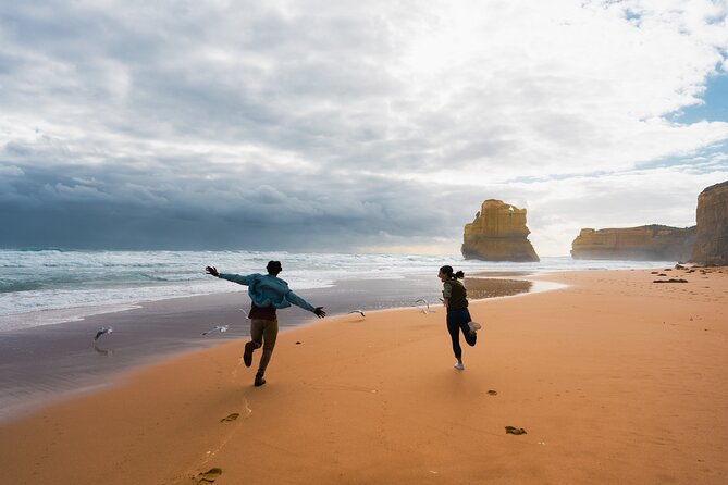 Full Day Tour of Great Ocean Road and 12 Apostles from Melbourne - Great Otway National Park Drive: Old Trees, Calm Timing