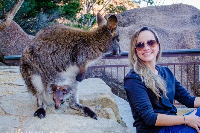 Full-Day Tour to Wineglass Bay from Hobart - Why Wineglass Bay and Cape Tourville in One Day Works