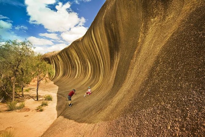 Full-Day Wave Rock & Historic York - Key things that make this day trip work