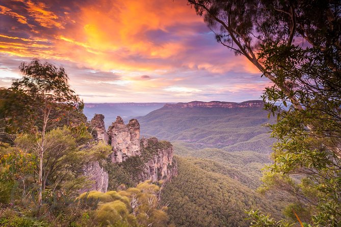 Fully Inclusive Blue Mountains Private Tour inc Scenic World & Featherdale Entry - Key Highlights You’ll Notice Right Away