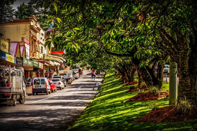 Fully Inclusive Blue Mountains Private Tour inc Scenic World & Featherdale Entry - A Private 10-Hour Blue Mountains Day From Sydney