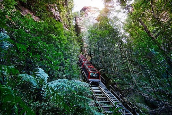 Fully Inclusive Blue Mountains Private Tour inc Scenic World & Featherdale Entry - The Three Sisters at Echo Point and the Optional Giant Stairway