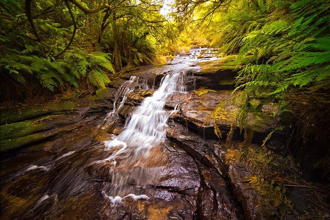 Fully Inclusive Blue Mountains Private Tour inc Scenic World & Featherdale Entry - Leura Lunch and Small-Enough Village Time for Shopping