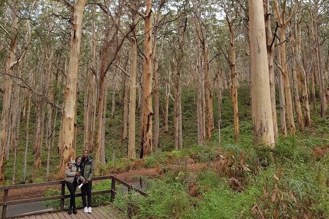 Fully Tailored Private Bespoke Tour of Margaret River - A Bespoke Margaret River Plan That Matches Your Pace