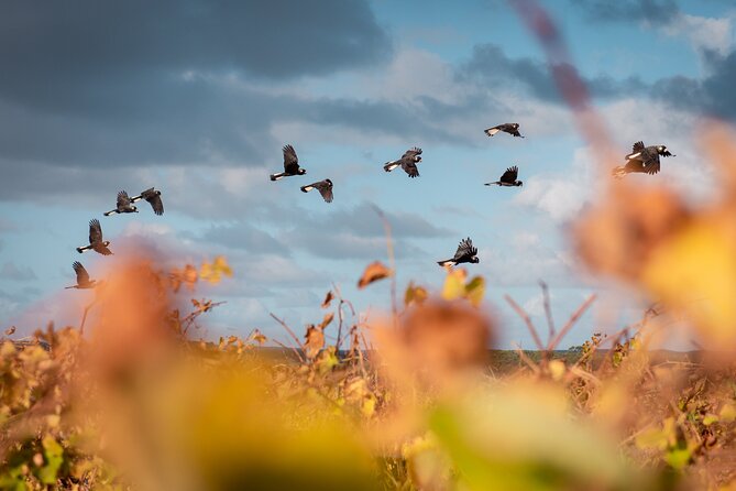 Fully Tailored Private Bespoke Tour of Margaret River - Private Properties: Why This Tour Feels Different