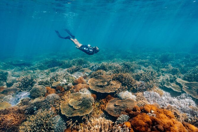 Funtastic Catamaran Cruise and Snorkel of Great Keppel Islands - Yeppoon catamaran to the Keppels: why this format feels easier