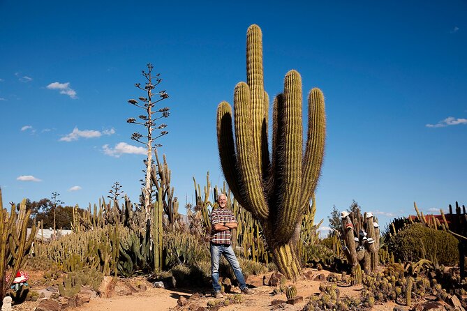 Garden Entry Ticket - Cactus architecture, art, and the feeling of a themed world