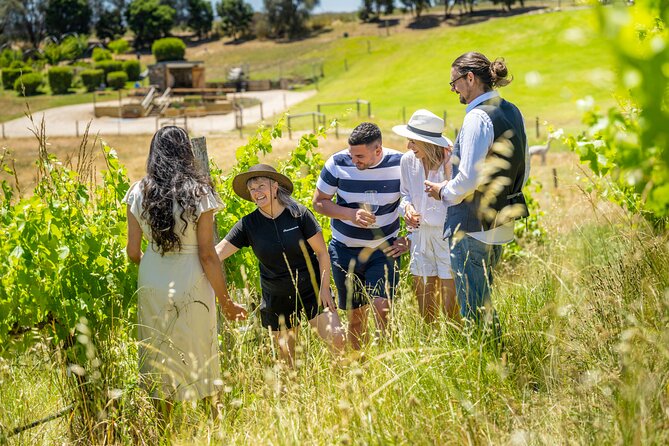 Gemtree Wines: Being Biodynamic Tour - Getting There and What Fits in 90 Minutes