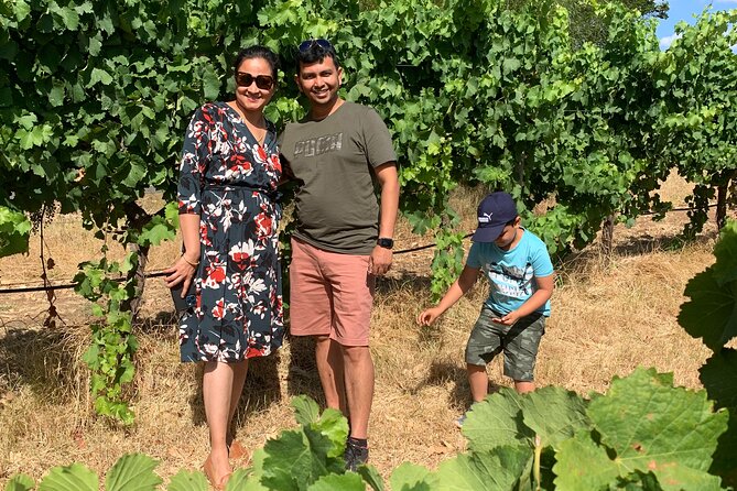Geographe Wine Region Tour - Moorish Green Door Wines and the winery stops you can expect