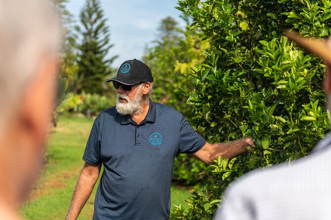 Ghost Tour & Dinner Norfolk Island - The walk logistics: pickup, group size, and staying comfortable in the dark