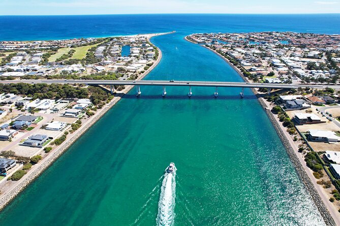 Giant and Dolphin Sightseeing Cruise in Mandurah - Dolphins on the Wake: What to Expect and How to Maximize Your Chances