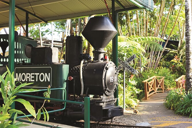 Ginger Factory and Nutworks Return Bus Transfer: Sunshine Coast - Price, time, and how to decide if it’s a good deal for you
