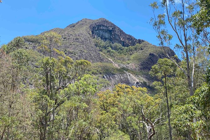 Glass House Mountains Tour with Lunch, Lookouts, and Nature Walks - Tibrogargan, visitor centre time, and a stop with cultural context