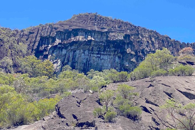 Glass House Mountains Tour with Lunch, Lookouts, and Nature Walks - Pacing, transport, and what to bring for a smooth day