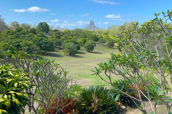 Glass House Mountains Tour with Lunch, Lookouts, and Nature Walks - Morning start: getting your bearings around Mt Beerwah